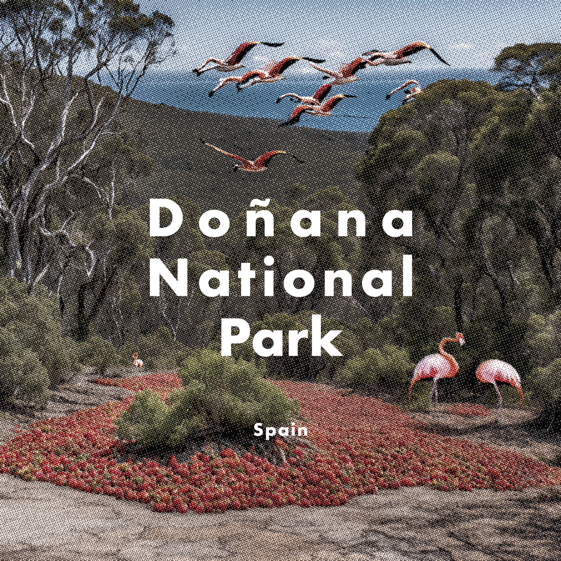 Why is Doñana National Park drying up and how can we stop it